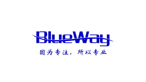 上海藍微貿易與微仁網絡 數字時代下貿易與網絡服務的融合探索